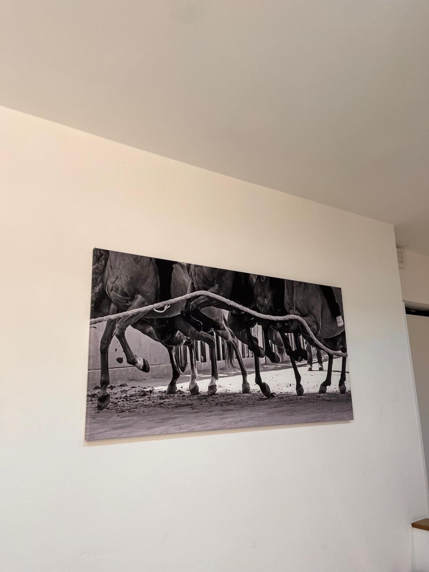 La Casa Del Palio Apartment Siena Exterior photo